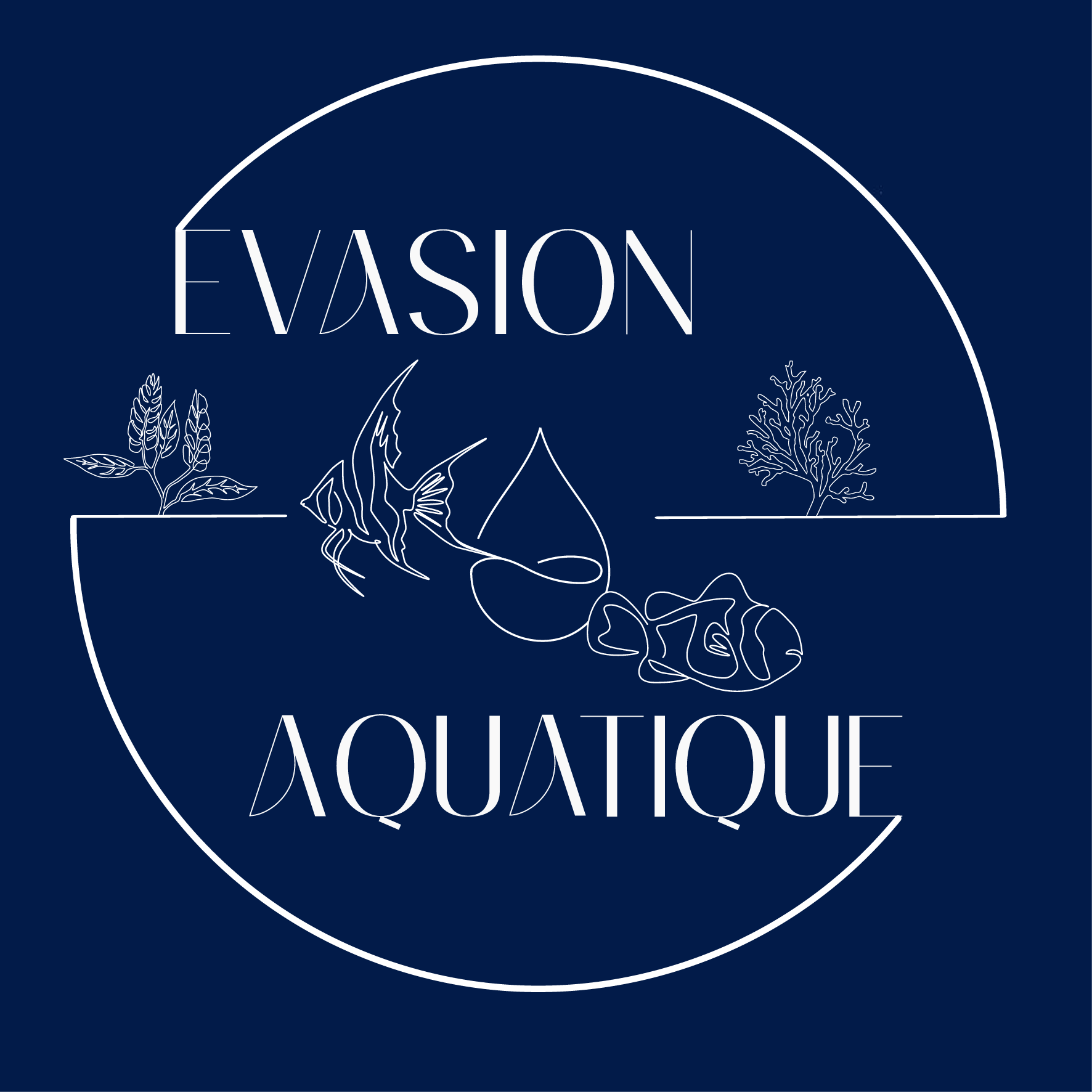 Evasion Aquatique - Installation et entretien d'aquarium